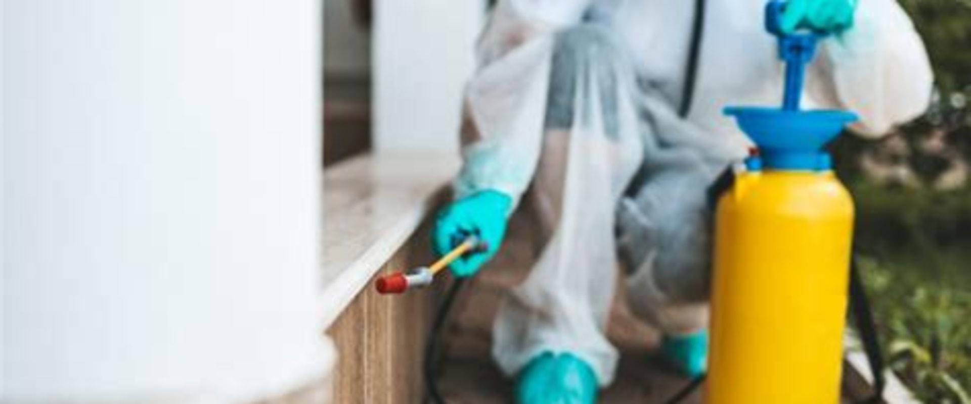 Identifying a Trustworthy Termite Removal Company: Key Factors to Consider