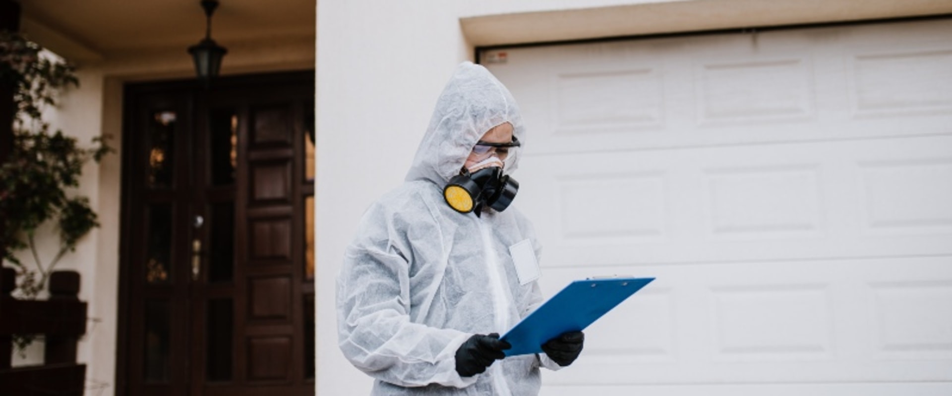 Essential Precautions to Take After Termite Removal