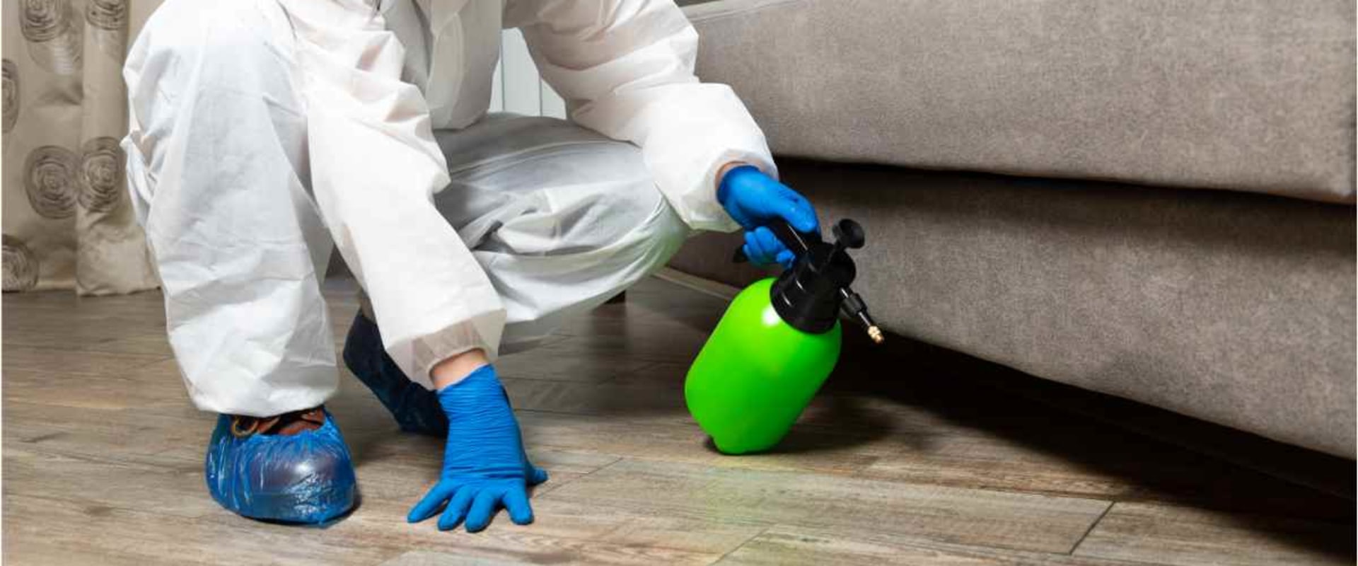 What You Need to Know About Furniture Removal During Termite Treatment