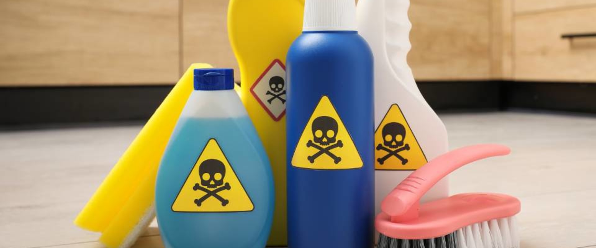 Understanding the Health Risks of Termite Removal Chemicals