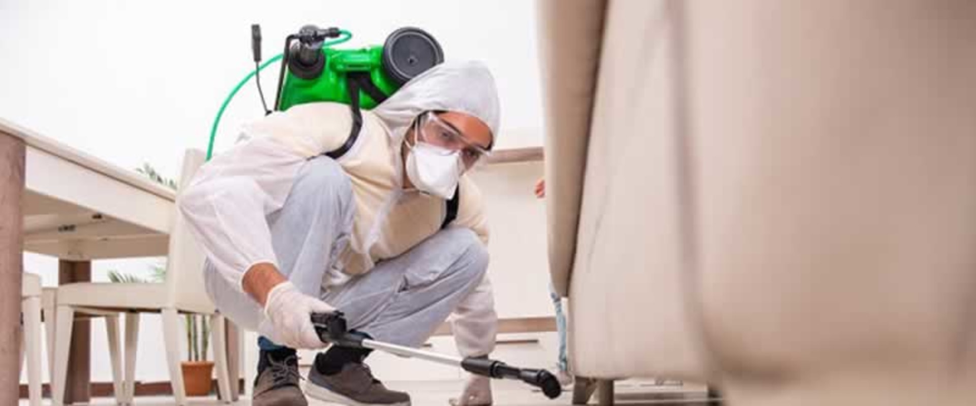Essential Steps to Prepare for Effective Termite Removal