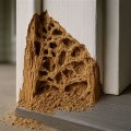 What to Do If You Suspect Your Neighbour's Property Has Termites