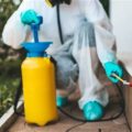 Identifying a Trustworthy Termite Removal Company: Key Factors to Consider
