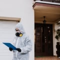 Essential Precautions to Take After Termite Removal