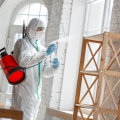 Key Considerations When Choosing a Termite Removal Company