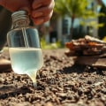 Understanding the Differences Between Liquid and Bait Treatments for Termite Removal