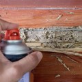 Common Pitfalls in DIY Termite Removal: What You Need to Know