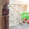 Natural and Eco-Friendly Methods for Effective Termite Removal