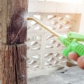 Effective Strategies for Termite Removal in Your Garden and Outdoor Areas