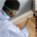 Understanding the Risks of DIY Termite Removal Methods