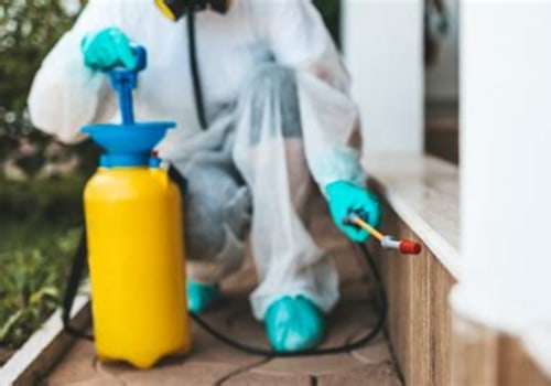 Identifying a Trustworthy Termite Removal Company: Key Factors to Consider
