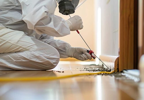 Understanding the Importance of Regular Termite Inspections for Your Home