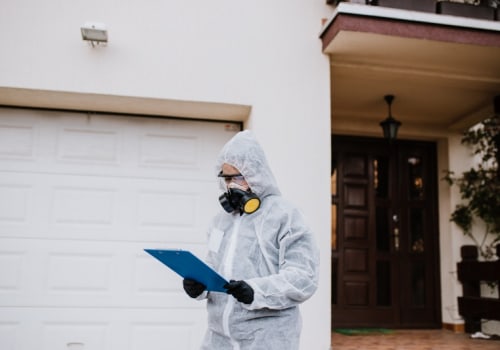 Essential Precautions to Take After Termite Removal