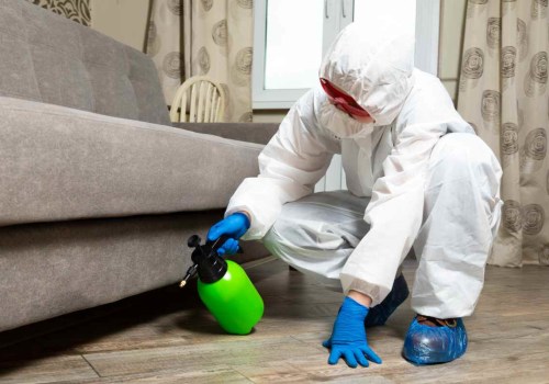 What You Need to Know About Furniture Removal During Termite Treatment