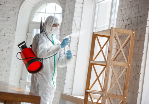 Key Considerations When Choosing a Termite Removal Company