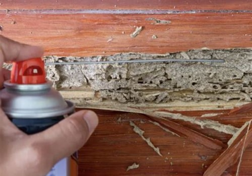 Common Pitfalls in DIY Termite Removal: What You Need to Know