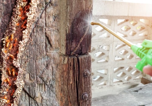 Natural and Eco-Friendly Methods for Effective Termite Removal