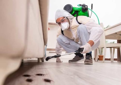 Essential Steps to Prepare for Effective Termite Removal
