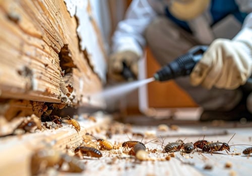 Understanding the Necessity of Vacating Your Home During Termite Removal